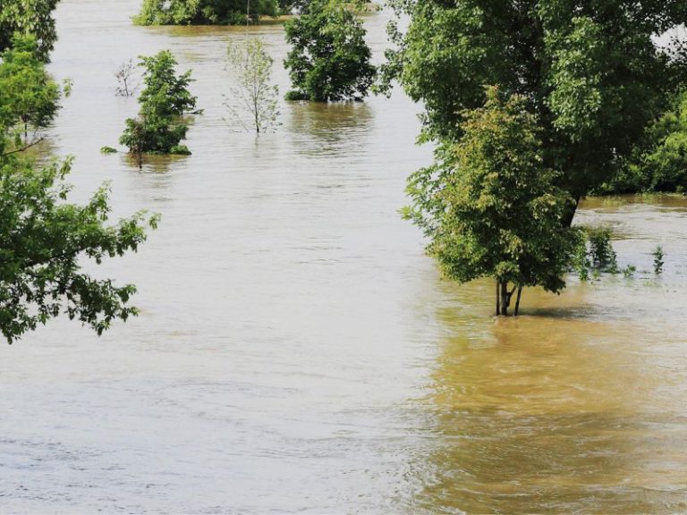 Inundaciones DANA Manza Subvención